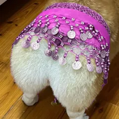 Belly Dance Fart Chain Sequined Waist Chain Enthusiastic Dog Fart Hip Scarf - Purple - View 1