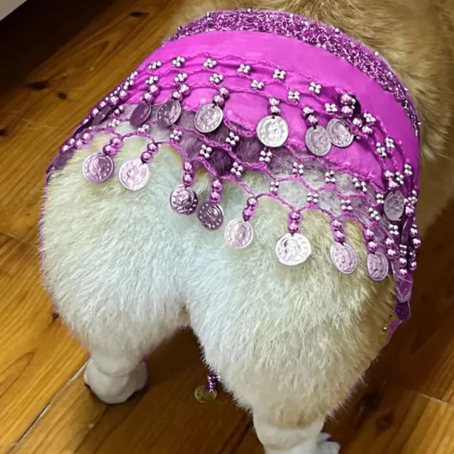 Belly Dance Fart Chain Sequined Waist Chain Enthusiastic Dog Fart Hip Scarf Purple - Shop at LoveMi