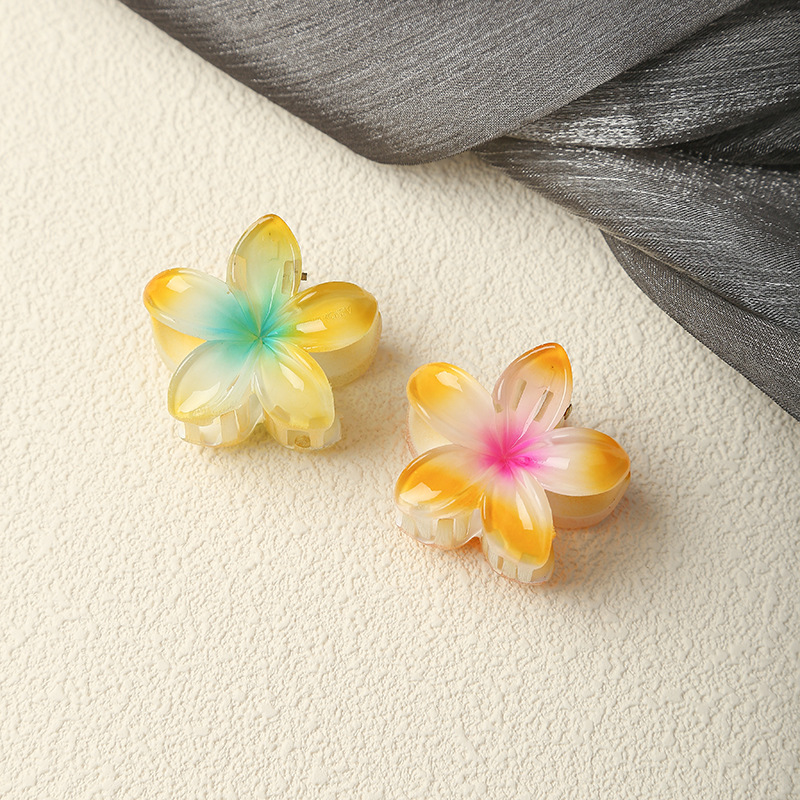 Title 8, 4cm Bauhinia Small Hair Grabbing Clip Simple Pl...