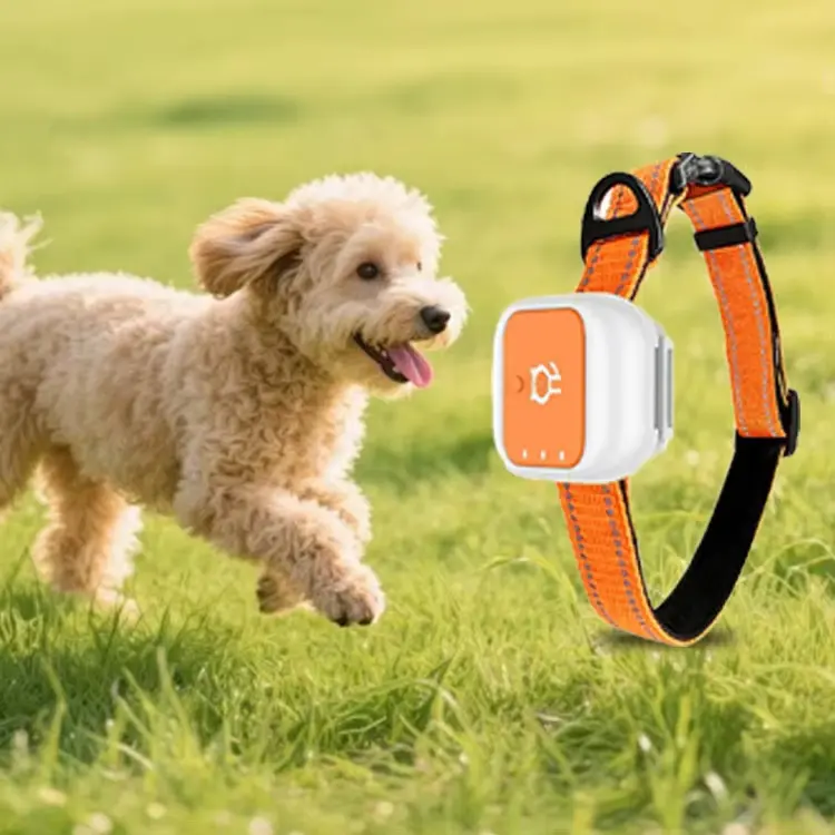 4G GPS Pet Collar Cats And Dogs