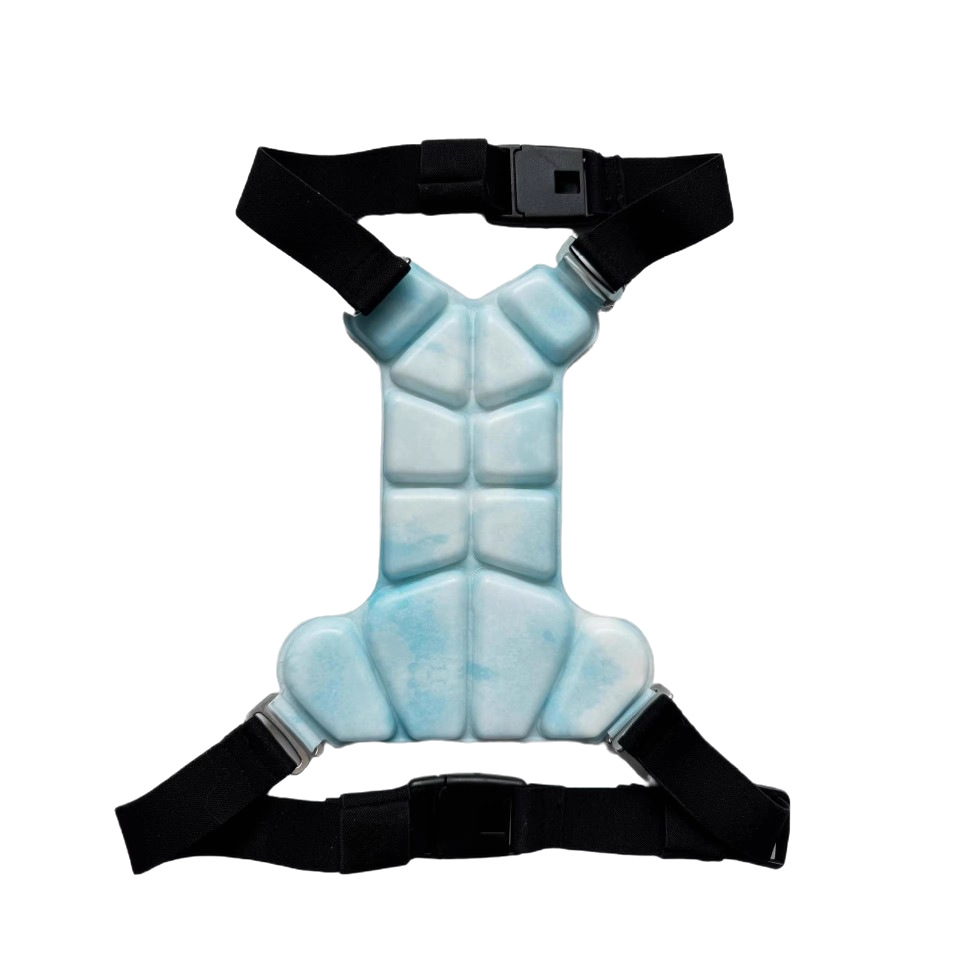 Physical Cooling Phase Change Ice Pad For Dogs — foto 2