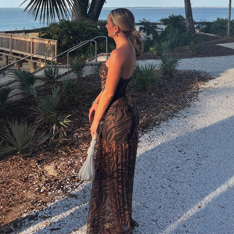 Sexy Hot Girl Tube Top Backless Mesh Dress