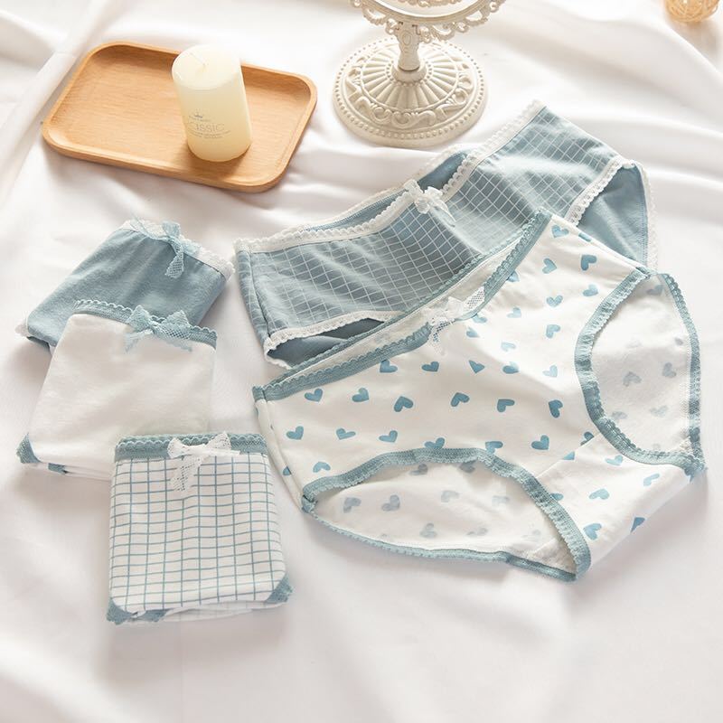 Tingweiya Fog Blue Mesh Lovely Girl Underwear Women’s Cotton Crotch Breathable