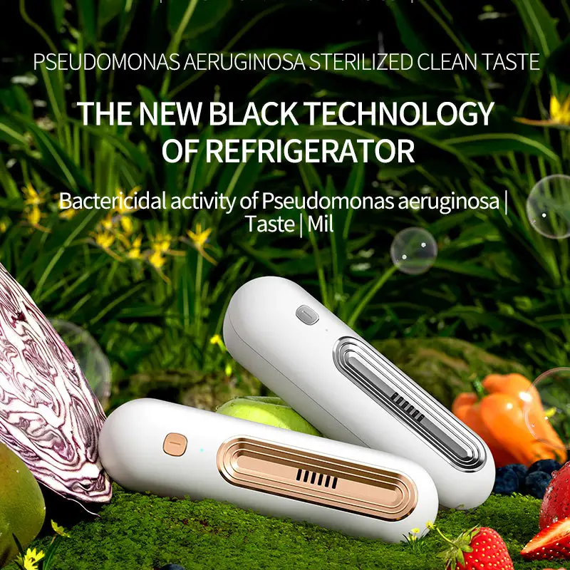Air Purifier, Refrigerator Deodorizer, Household Ozone