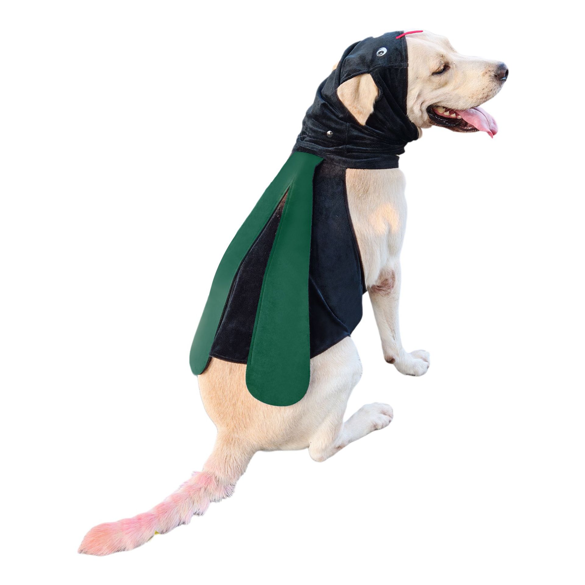 Disfraz de chef para mascotas, estilo divertido, talla única