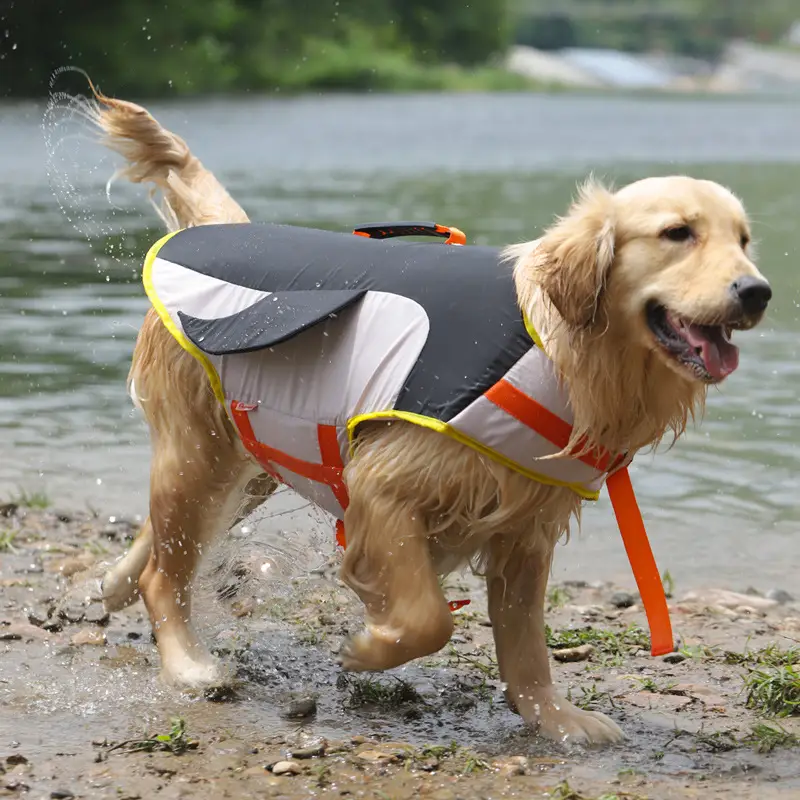 Summer Pet Dog Corgi Golden Retriever Clothes
