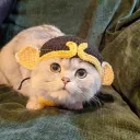 Pig Eight Ring Hat