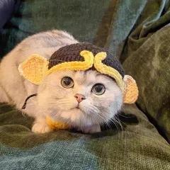 Wool Pet Hood Dogs And Cats Knitted Hat Prop Headdress - Pig Eight Ring Hat - View 1