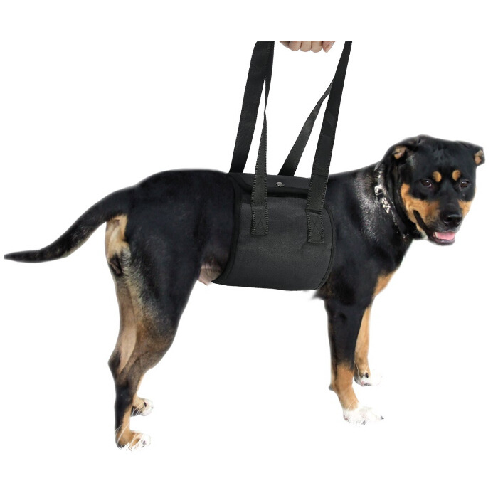 Dog Carrier With Pet-handling Handle And Auxiliary Leash detail photo 3