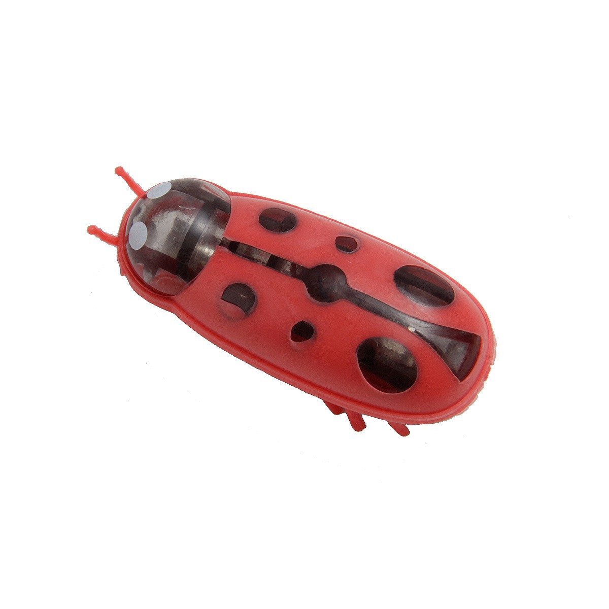 Ladybug Red Black