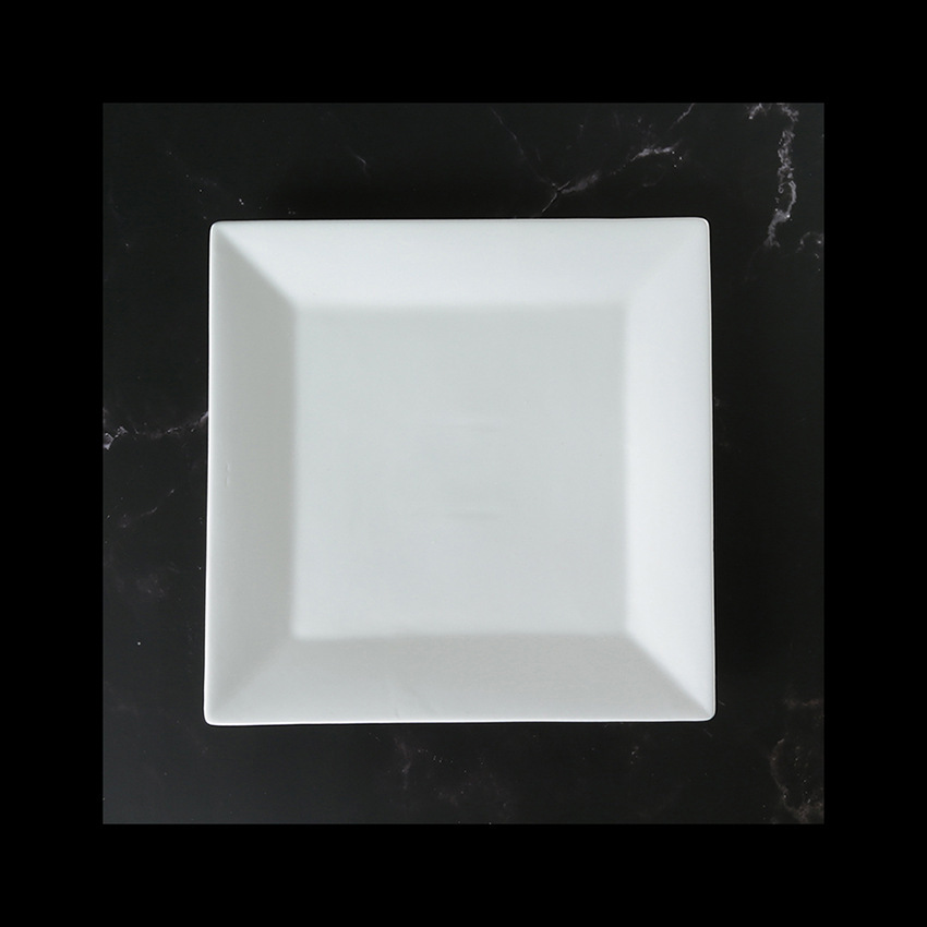 8 Inch Square Plate Dish