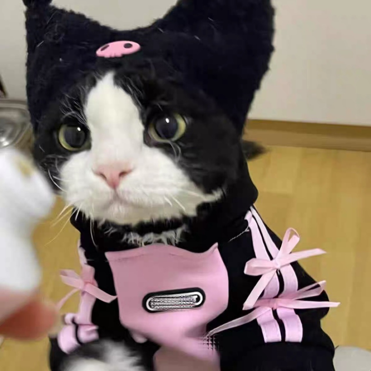 German-style Universal Winter Cotton Outfit For Pets And Cats — foto 2