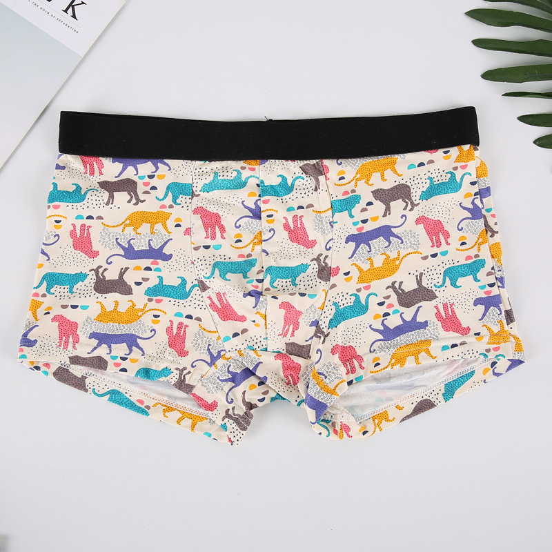 1 Boxers Color Leopard