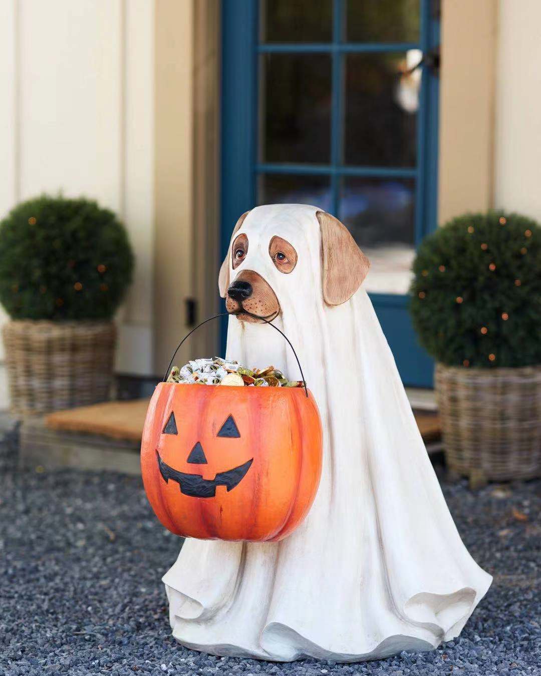 Pumpkin Puppy