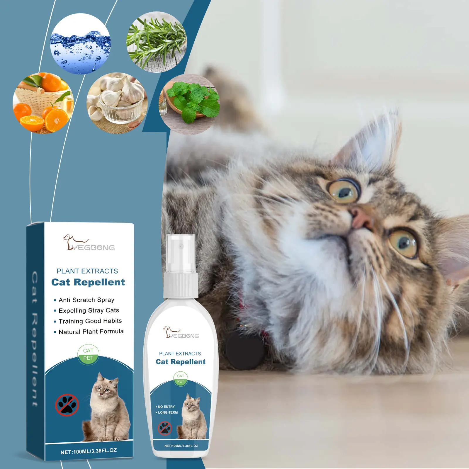 Pet Insect Repellent Prevent Cats From Going
