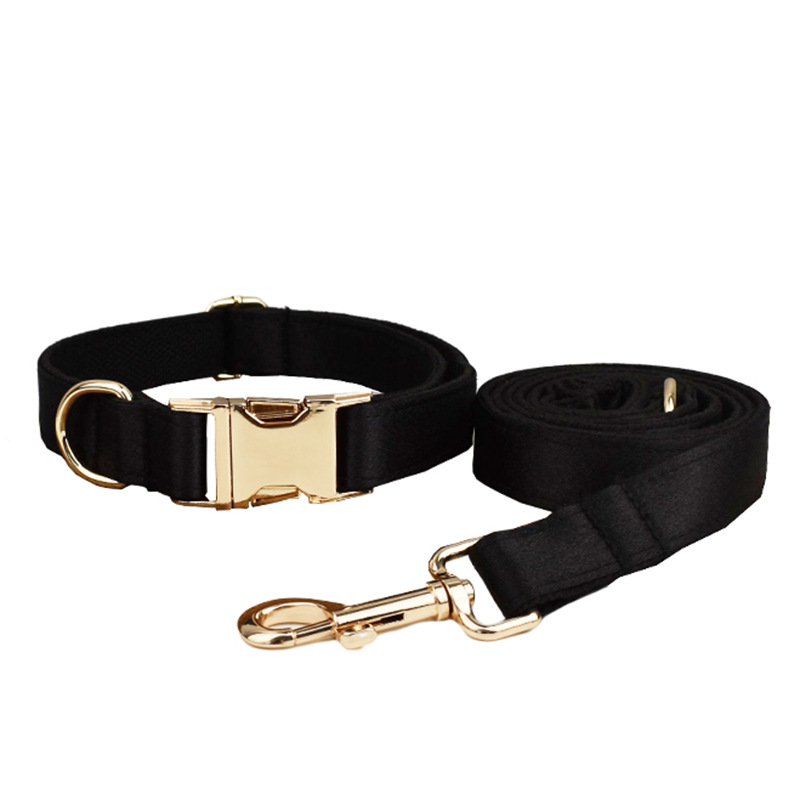 Dog Collar Dog Leash