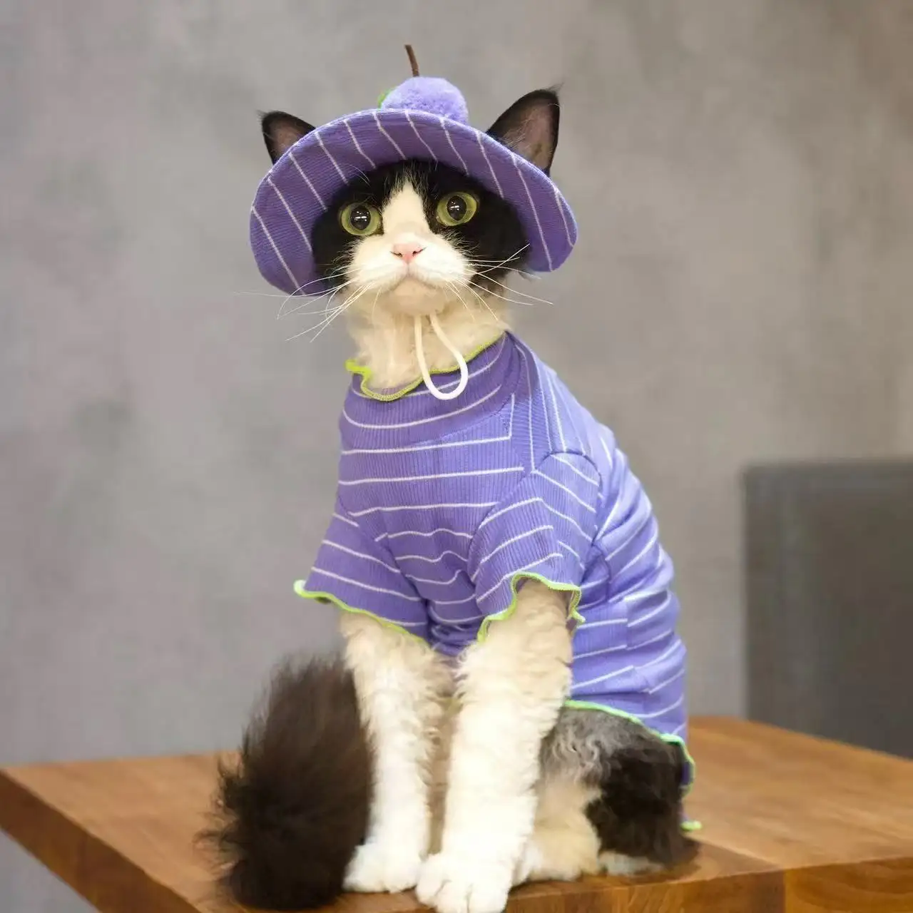 Cat Purple Striped Summer Outfit T-Shirt