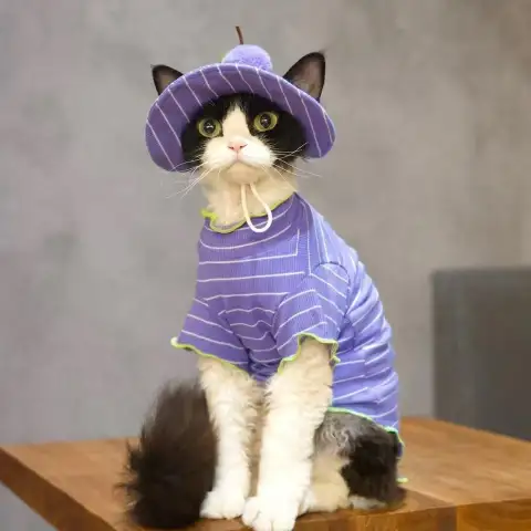 Cat Purple Striped Summer Outfit T-Shirt and Grape Sun