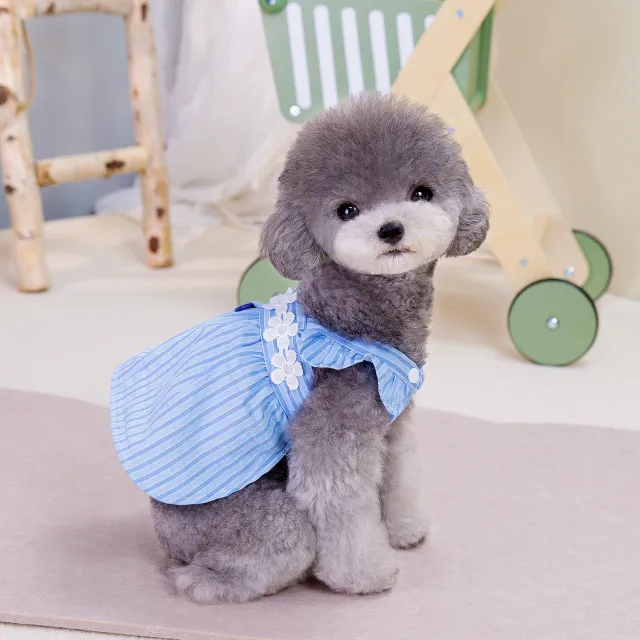 Spring And Summer Pet Dog Vertical Bar Clothes Skirt Blue Stripe - Shop at LoveMi