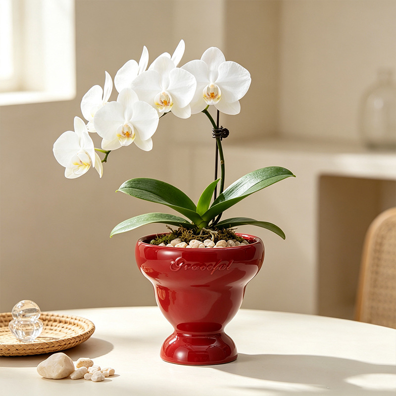Decorațiuni interioare ghiveci de flori din ceramică roșie