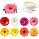 Bd041 Flowers