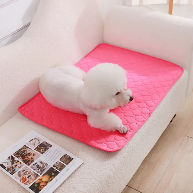 Urinal Pad For Pet Washable Dog Diapers Non slip Absorbent Easy To Dry Pink - Shop at LoveMi