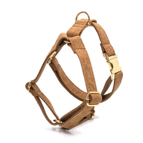 Pet Collar Traction Rope Bow Garbage Pack Chest