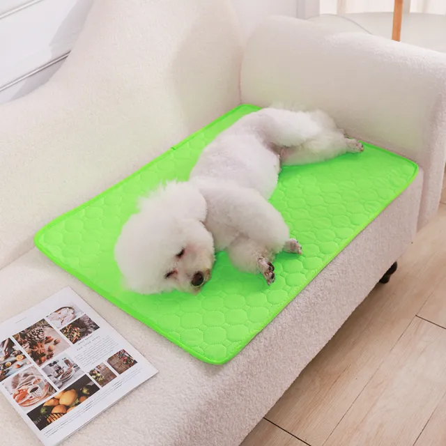 Urinal Pad For Pet Washable Dog Diapers Non slip Absorbent Easy To Dry Green - Shop at LoveMi