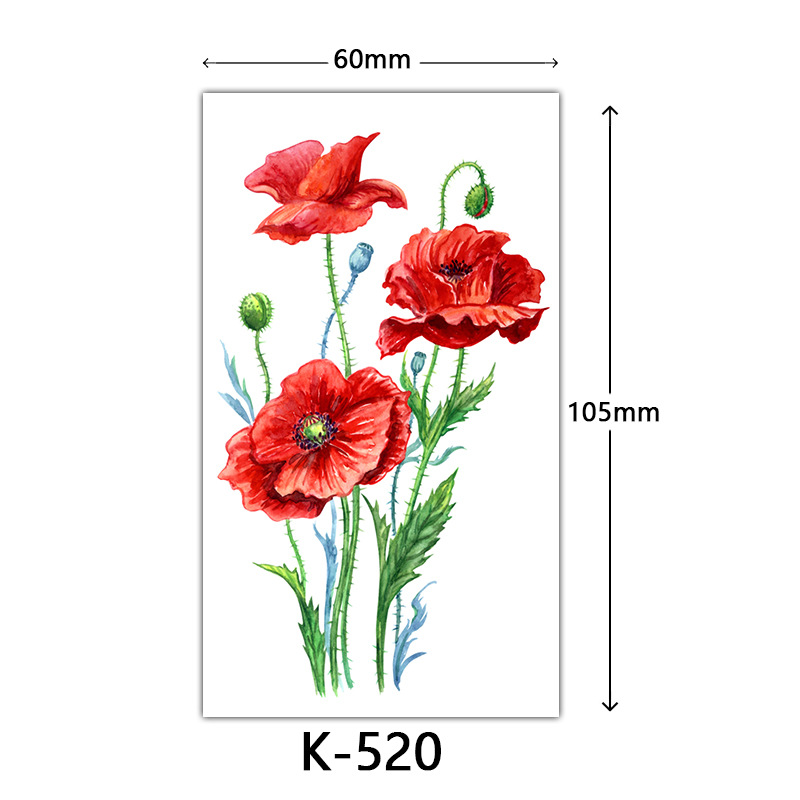 https://cf.cjdropshipping.com/quick/product/af3b6394-7358-4f57-862b-83ee51631b41.jpg