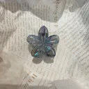 4Cm Colorful Black