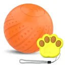 Orange Remote Control