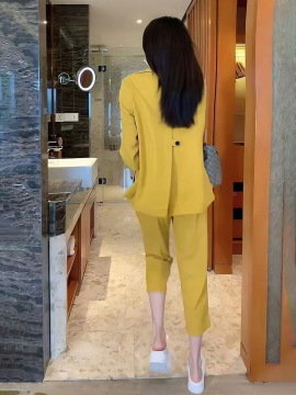 Plus Size Suit Coat Harem Pants Two-piece Set
