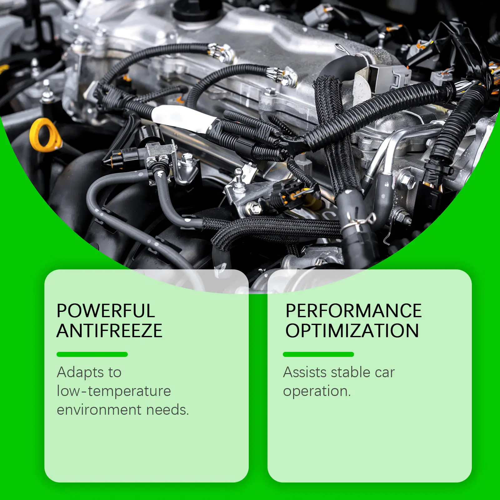 Car Antifreeze
