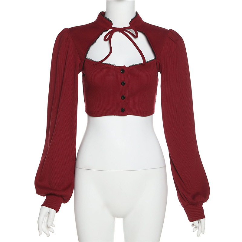 Long Sleeve Hollow Out Round Neck Midriff-baring Slim-fitting Simple T-shirt