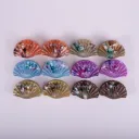 A Mixed Color 12 Pack 6 Colors