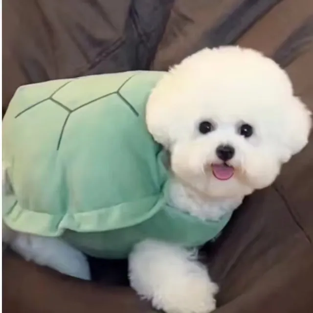 Turtle Shell Pet Vest Funny Clothes Turtle Shell Front Leg Opening - Shop at LoveMi