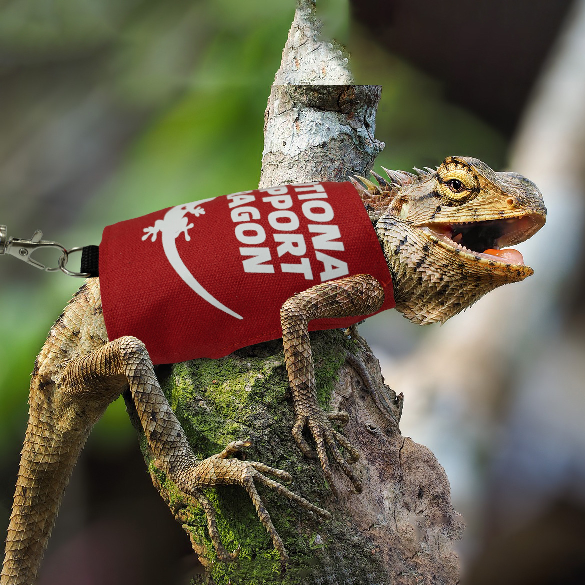 Lizard Harness And Leash Set, Pet Supplies For Reptiles, For Outdoor Use detail photo 6