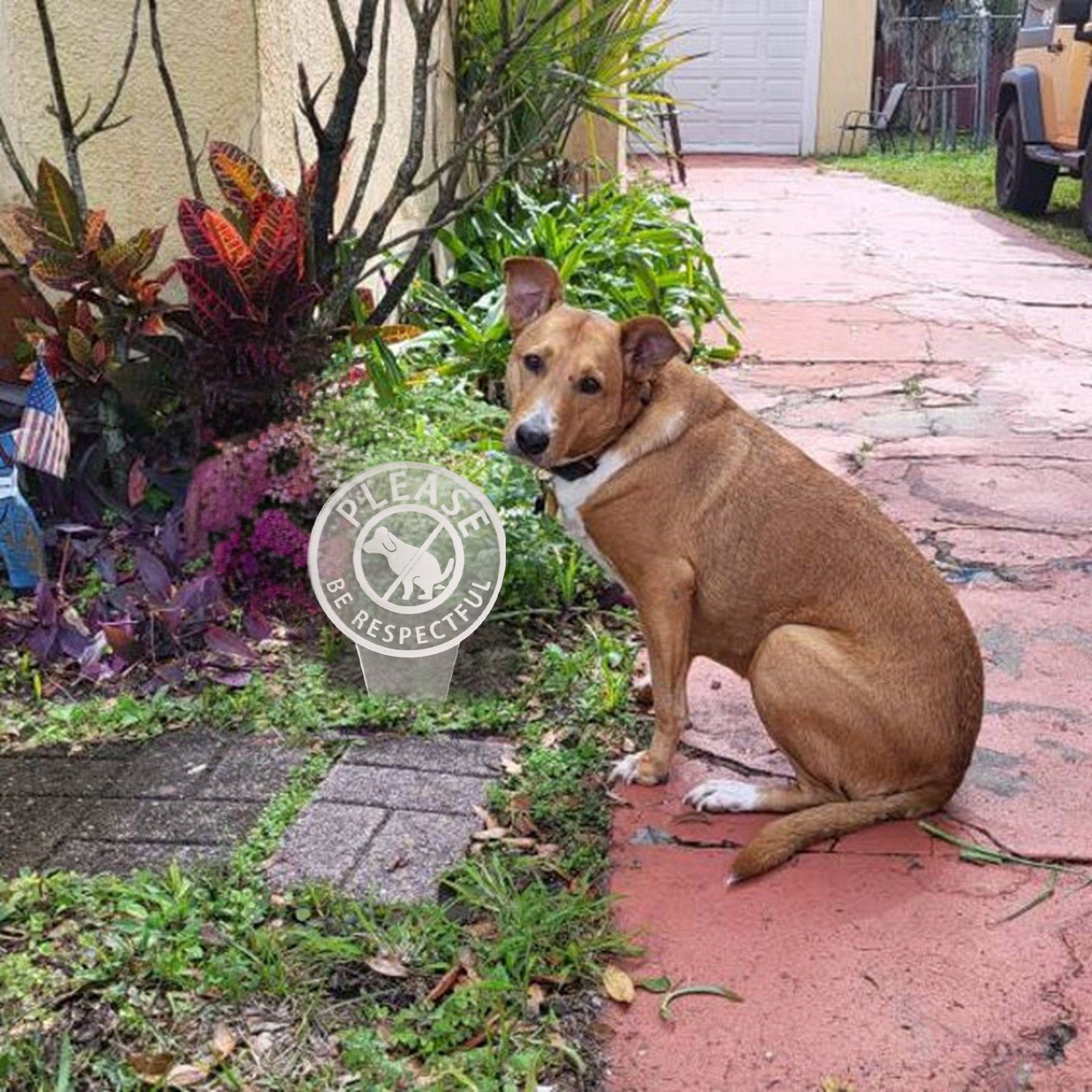 Title 25, Dog Poop Sign With Bag Holder