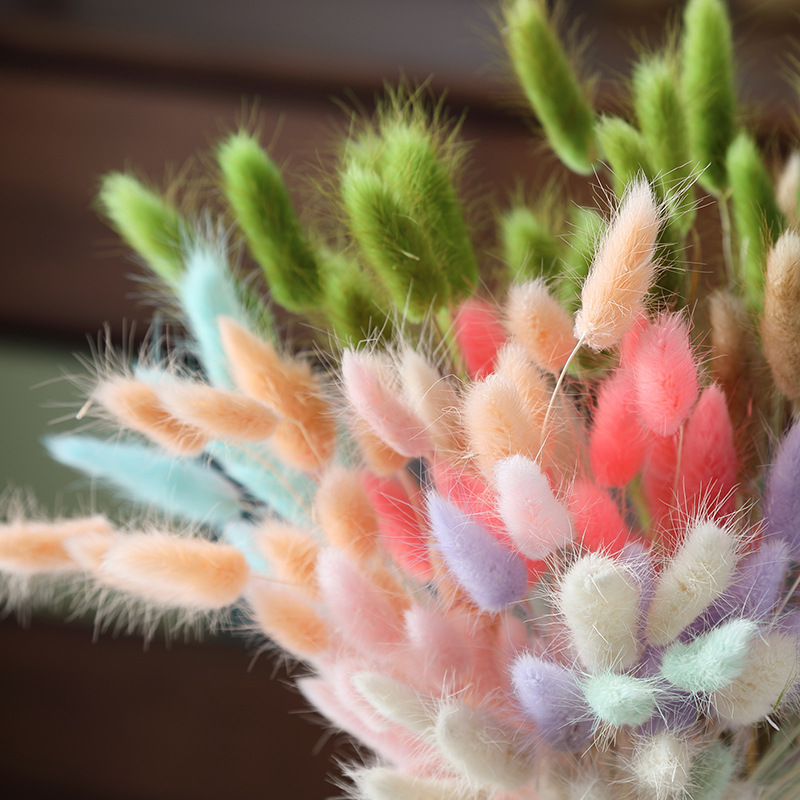 Home Decoration Ornaments - Rabbit Tail Grass Dried Flower Bouquet