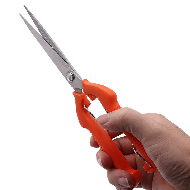 https://cf.cjdropshipping.com/quick/product/b18a8ac8-ca36-4350-8b09-18af0ae69eb2.jpg