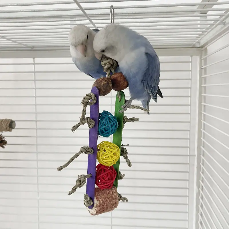 Creative Parrot Corn Cob Bite String Wooden