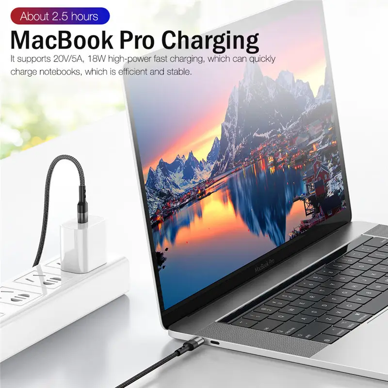 100W USB C To USB-C Type Cable