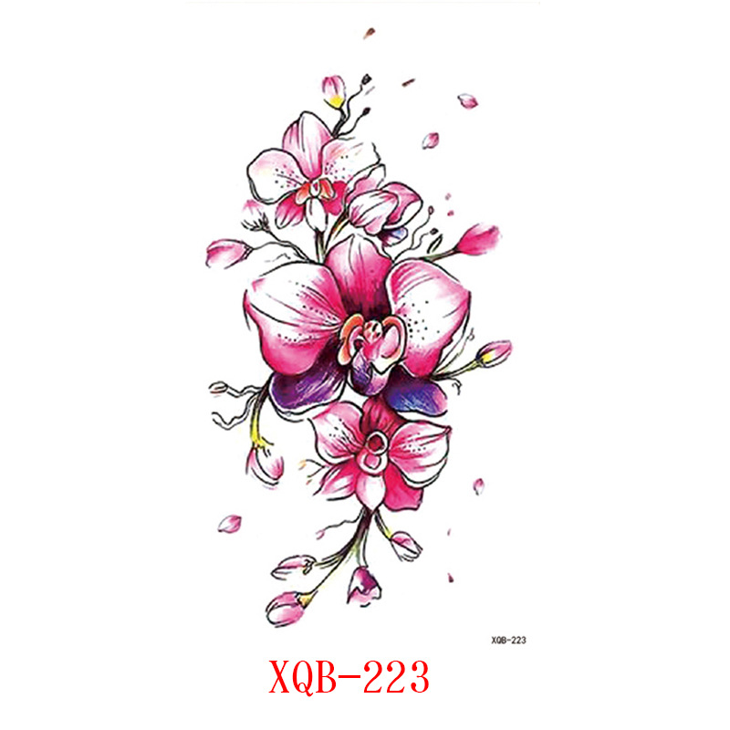 XQB223