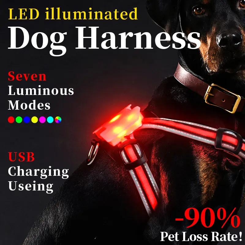 Night Dog Walking Vest LED Explosion-proof Dog's