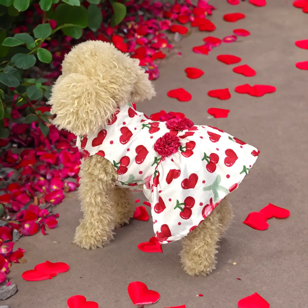 Creative Pet Cute Printed Dogs and Cats Skirt