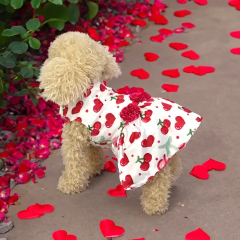 Creative Pet Cute Printed Dogs and Cats Skirt