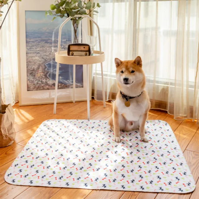 Pet Overlay Reusable Washable Dog Default - Shop at LoveMi