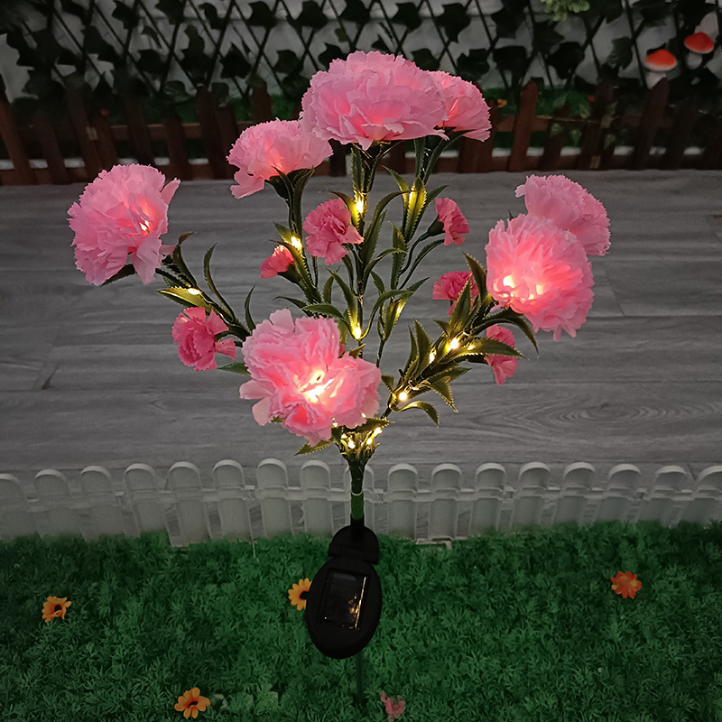 Pink Carnation