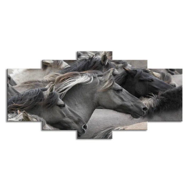 5 piece Grey And Black Horse Group Wall Art For Living Room And Bedroom Home Decor Oil Painting Canvas Drawing - Shop at LoveMi