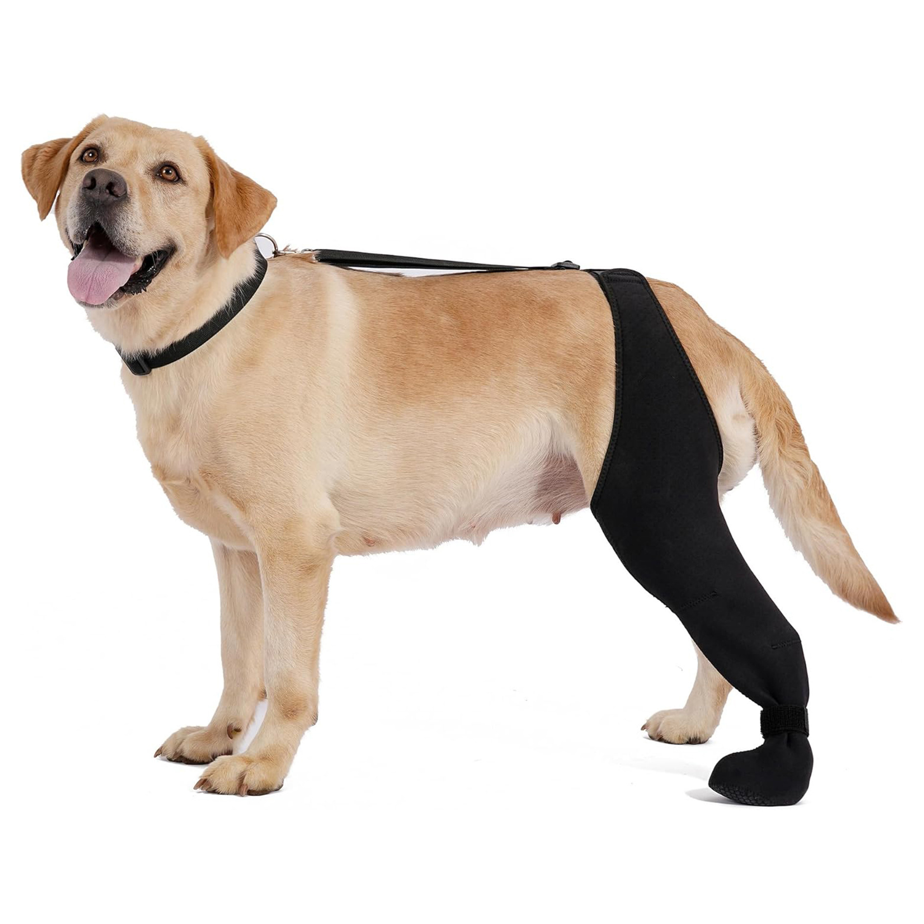 New Pet Knee Brace For Post-leg Injury Support In Cases Of Ligament Strains Left Leg S